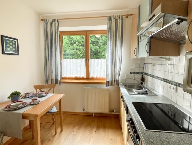 Apartment Alpenfrieden Typ 2 Küche